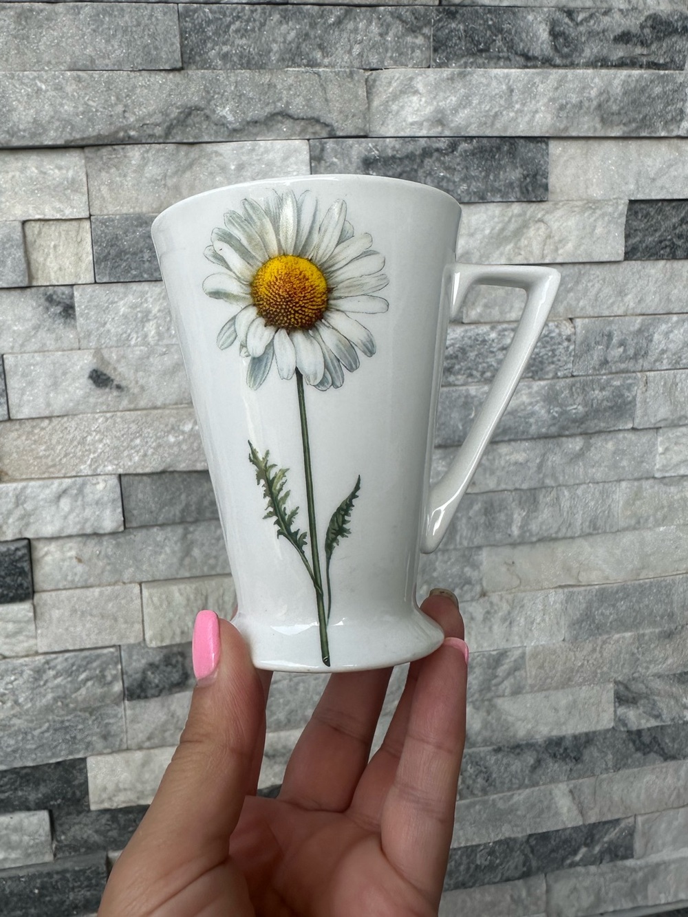 Floral Royale Garden Staffordshire England fine bone china mug